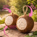 4 Stck Kokosnüsse ganz Vogelfutter Fettfutter Winterfutter