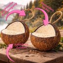 Kokosnuss Kokusnüsse V-Cut 4 Stck a 350 g Vogelfutter für Wildvögel