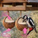 Kokosnuss Kokusnüsse V-Cut 4 Stck a 350 g Vogelfutter für Wildvögel