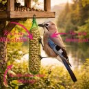 160 Stck Erdnuss-Stangen für Wildvögel a 90g...