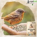 10 kg Sonnenblumenkerne geschält Vogelfutter Ernte 2025 für Wildvögel